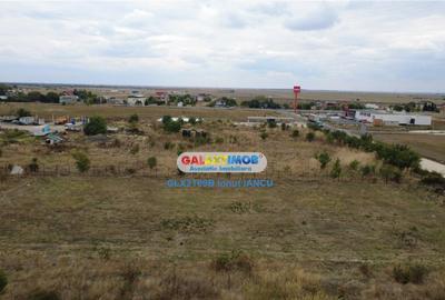 Teren 3000 m.p. Penny Mihailesti - 14