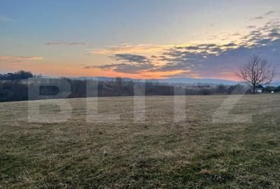 Teren de 27759 mp, în Central - 5