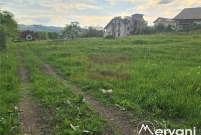 Teren intravilan de vanzare in Campina - Zona Muscel - 3