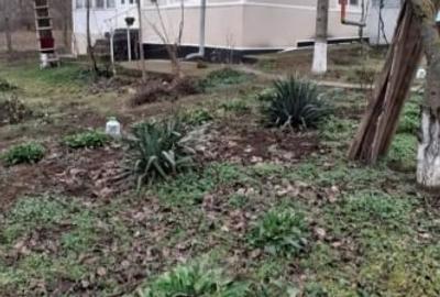 Casa Chetresti Vasluil Casa Chetresti Vasluil - 2