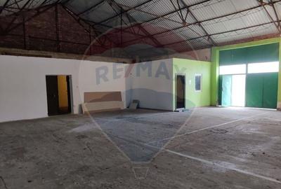 Hala 450 mp Sanicolaul - 6