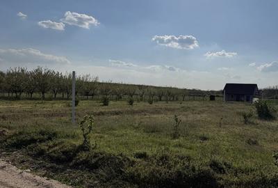 Spațiu comercial, în Păușa - 5