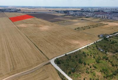 Teren Construcții intravilan de 6924 mp, în Sud