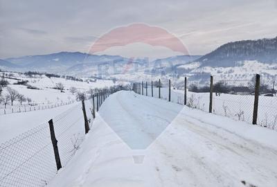 Teren agricol extravilan de 4301 mp, în Bârsana - 1