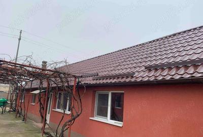 Casa de vanzare in Hodoni jud Timis Casa de vanzare in Hodoni jud Timis - 1