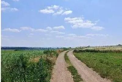 Teren extravilan Bosanci, ID: R2649420 - 5