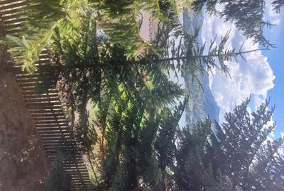 Casă cu 3 camere în Colibița - 1