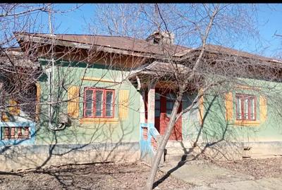 Vand casa sat Segarcea jud.Dolj - 5