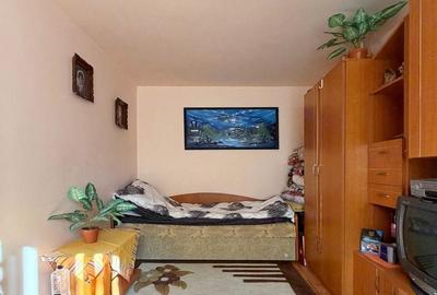 Apartament cu 2 camere semidecomandat, mobilat în Dacia - 4