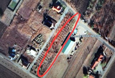 Teren de 2000 mp, în Potoceni - 2