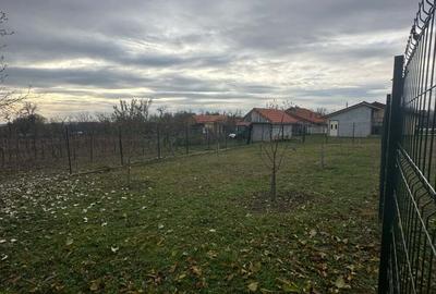 Casa moderna langa Transalpina finalizata in 2023 - 7