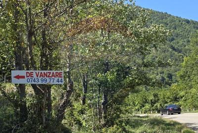 Teren 4,000mp Pascoaia / Soseaua Punctul Chiliilor