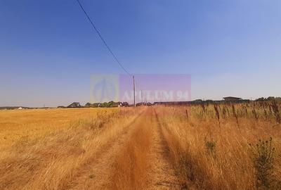 Teren pentru casa/case in Branesti pe strada Toporasi - 5