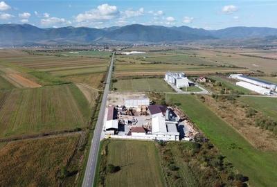 Oportunitate investiție prelucrare lemn, Cristian,jud.Sibiu - 3