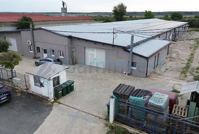 Gaminvest Hala industriala modernizată 2200 mp in Pecica, Arad,v4363 - 6
