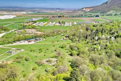 Teren Construcții intravilan de 5500 mp, în Cristian - 14