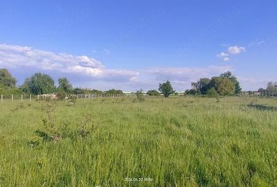 Teren de 8500 mp, în Freidorf