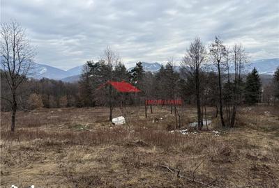Teren de 15470 mp, în Prundu Bârgăului - 7