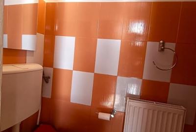 Apartament spatios cu 1 camera zona NTT / Pta Mihai Viteazul / Centru Apartament spatios cu 1 camera zona NTT / Pta Mihai Viteazul / Centru - 11