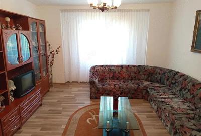 Casă cu Teren 1803 Mp în Anina - 18