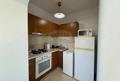 Apartament cu 1 camere de inchiriat in zona Tomis II - 4