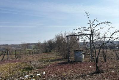 Casă individuală cu 3 camere cu Teren 1000 Mp în Bulzești - 5