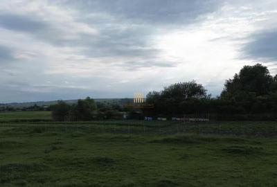 Teren 3953 mp Falticeni Tarna Mare De 0727817187 - 14