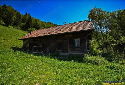 FILM! Casa traditionala pe domeniu de 4.300mp teren, Bran - Simon, Brasov - 10