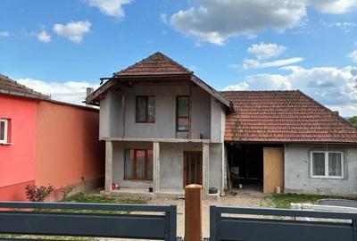 Casă cu 3 camere cu Teren 8000 Mp în Gothatea - 2