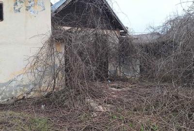 Spațiu comercial, în Dragalina - 2