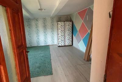 Casă cu 3 camere cu Teren 3843 Mp în Ciucurova - 3