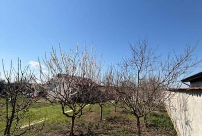 Teren în Berceni - 1