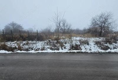 Teren de 2300 mp, în Vânători - 7