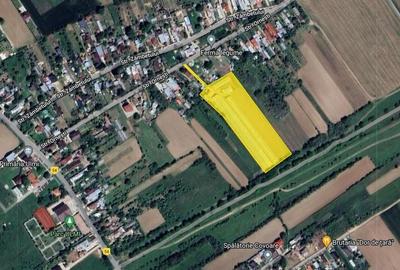 Investitie sigura! Vanzare ferma de legume care merge in plin! - 12