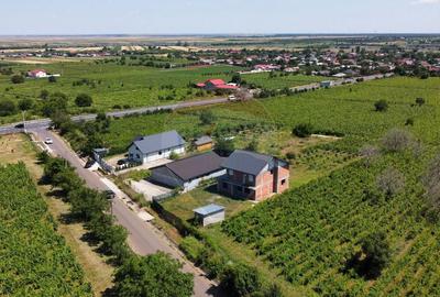Casa sau Spatiu Dumbraveni langa DN E85 - 19