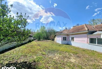 Casă cu 3 camere cu Teren 1144 Mp în Parava - 11