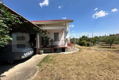 Domeniu de vanzare cu 17.000 mp teren, sat Oboga - 8