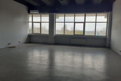 Spațiu industrial, de 138 mp, în Theodor Pallady - 2