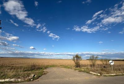📍 Teren intravilan 25.535 mp – Cocani / Răcari – acces asfalt, curent, apă – 9 📍 Teren intravilan 25.535 mp – Cocani / Răcari – acces asfalt, curent, apă – 9 - 3
