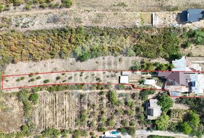 2 Case | 589 mpc | Lot 2080 mp | creditabil | locuinta/sediu | Baicoi - 2
