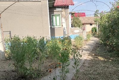 Casa in satul Zebil cu vedere superba spre lacul Babadag - 18