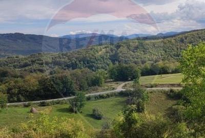 Teren Construcții intravilan de 1500 mp, în Damiș - 18