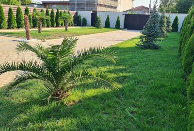 Casă cu 4 camere cu Teren 2530 Mp în Central - 2