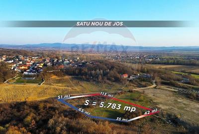 Teren Construcții intravilan de 5783 mp, în Satu Nou de Jos - 2