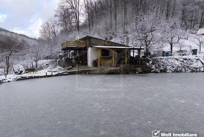 Casa de vacanta, cu lac, 5640 mp teren, Huta, com. Chiuiesti, jud. Cluj Casa de vacanta, cu lac, 5640 mp teren, Huta, com. Chiuiesti, jud. Cluj - 39