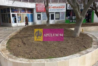 Ocazie ! spatiu comercial Alexandria - 16