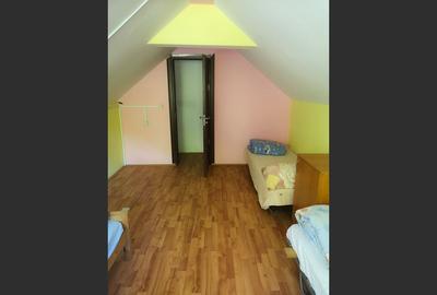 Casa de vacanta perfecta pe malul Cernei - 7