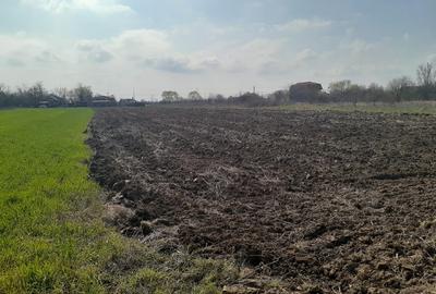 Tartasesti teren intravilan 2441 mp, Teren, Vanzare - 8