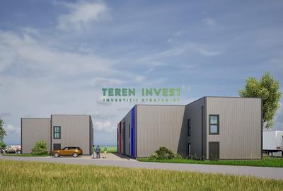 Hala depozitare -  Cernica  Theodor Pallady - 6