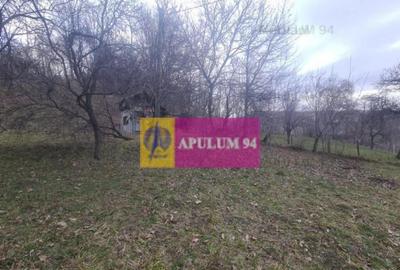 Teren de vanzare in Comarnic (zona Poiana) - 4